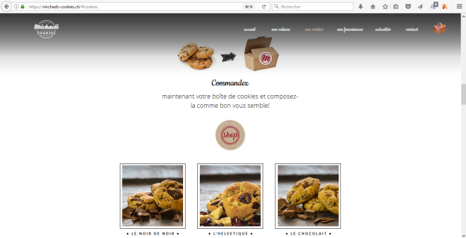 Site Cookies